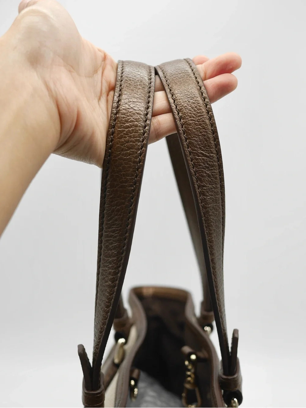 🍓CELINE Shopping Medium Canvas Bag